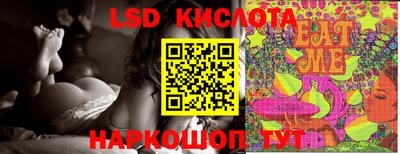 крисы Моздок