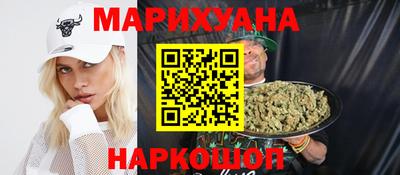 крисы Моздок