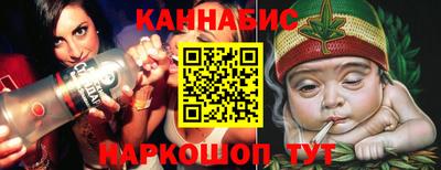 крисы Моздок