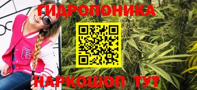 прущие крисы Можга