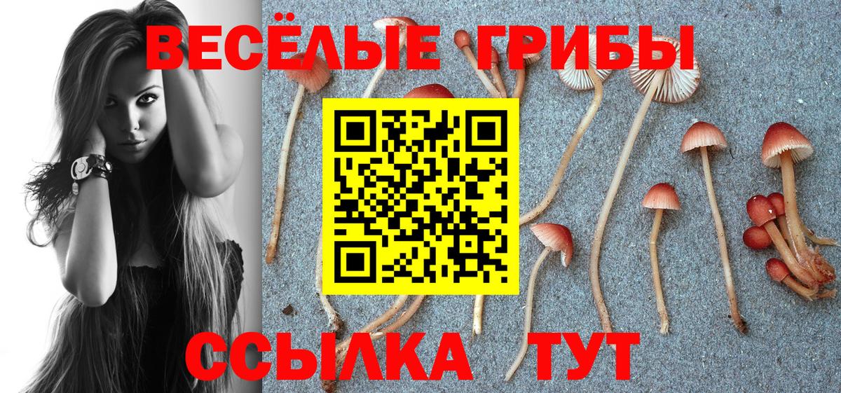 Псилоцибиновые грибы мицелий Асбест